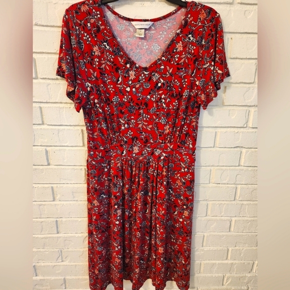 Christopher & Banks Dresses & Skirts - Christopher and Banks Dress